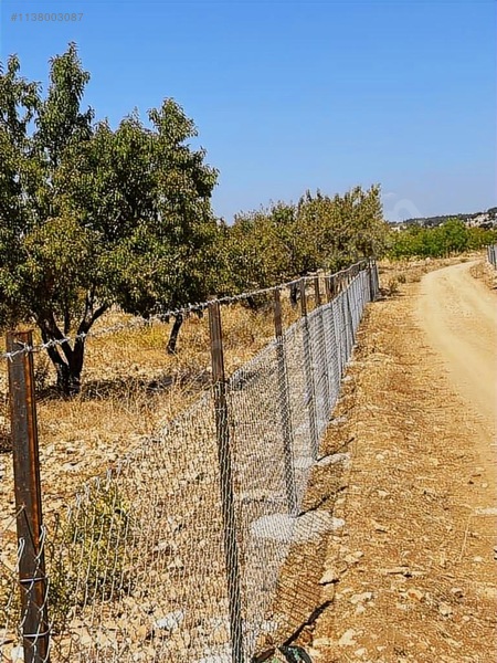 İlan Fotoğrafı