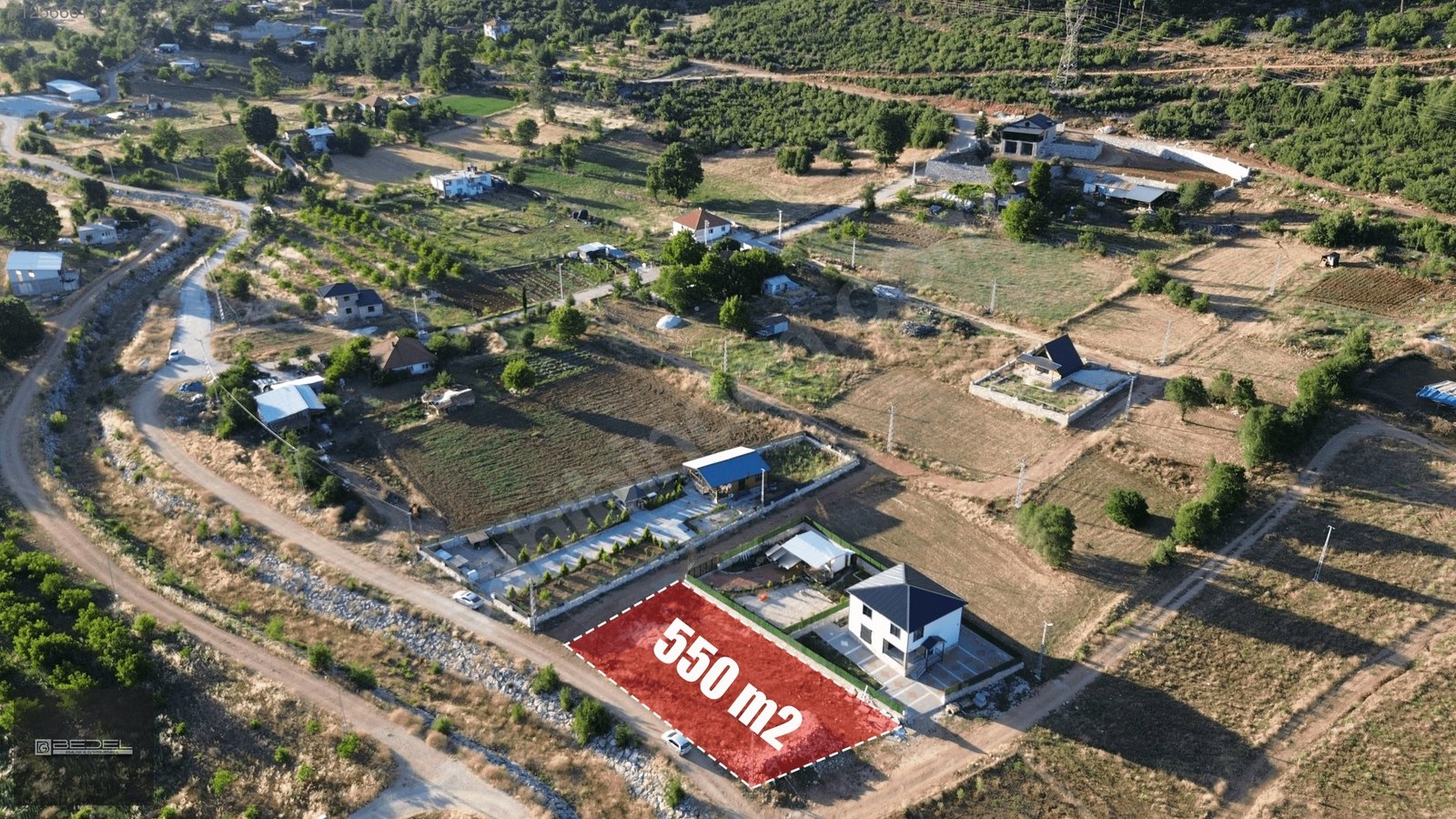 Fotoğraf