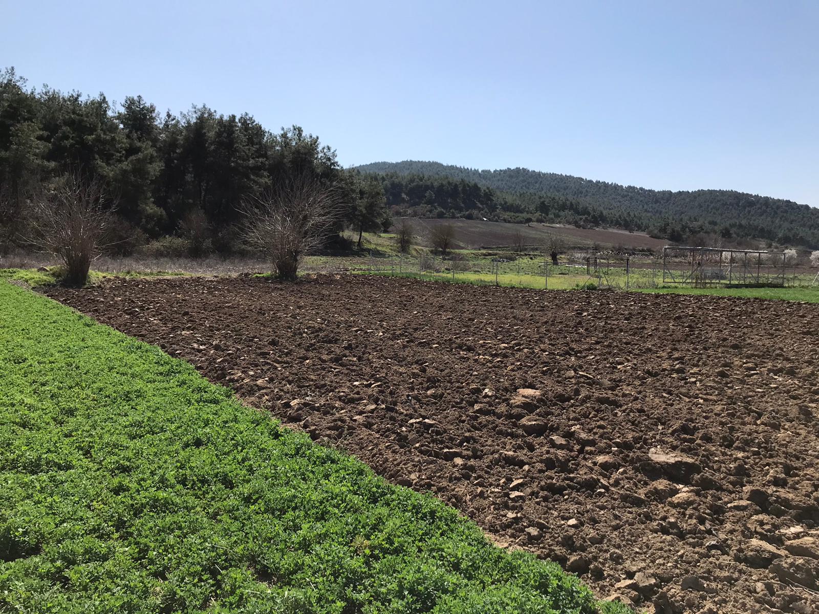 Fotoğraf