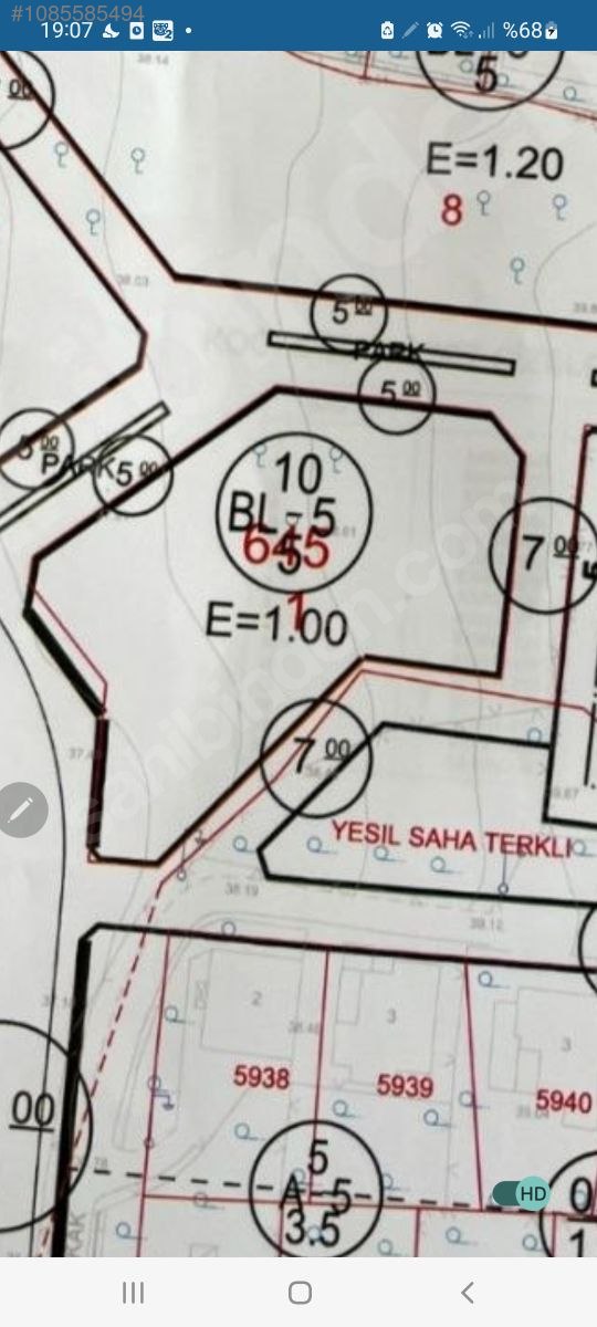 Fotoğraf