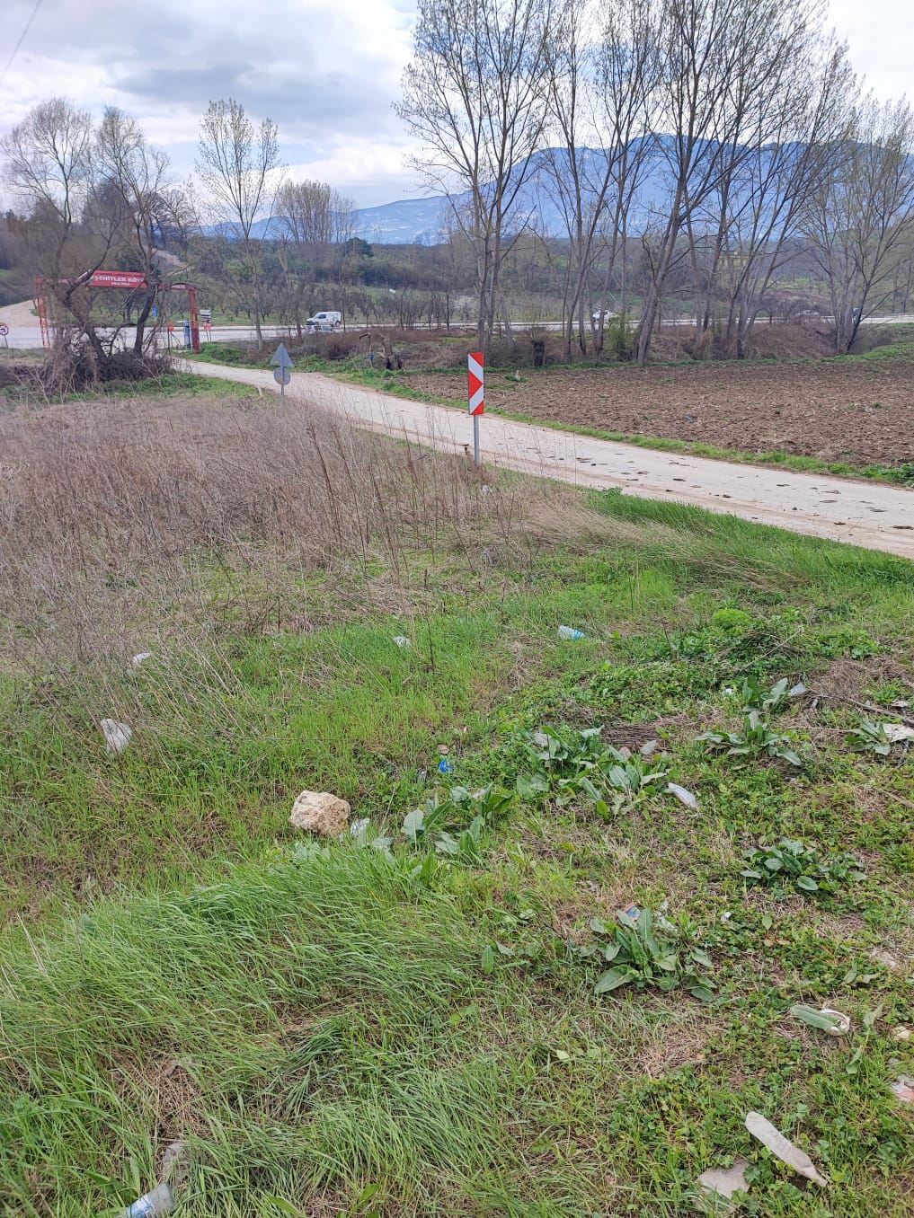 Fotoğraf
