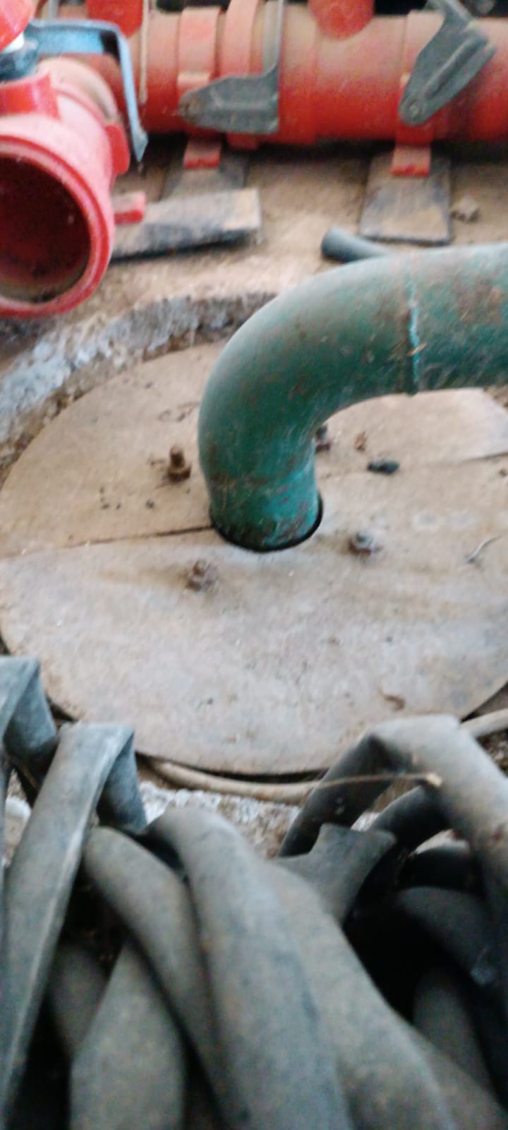 Fotoğraf