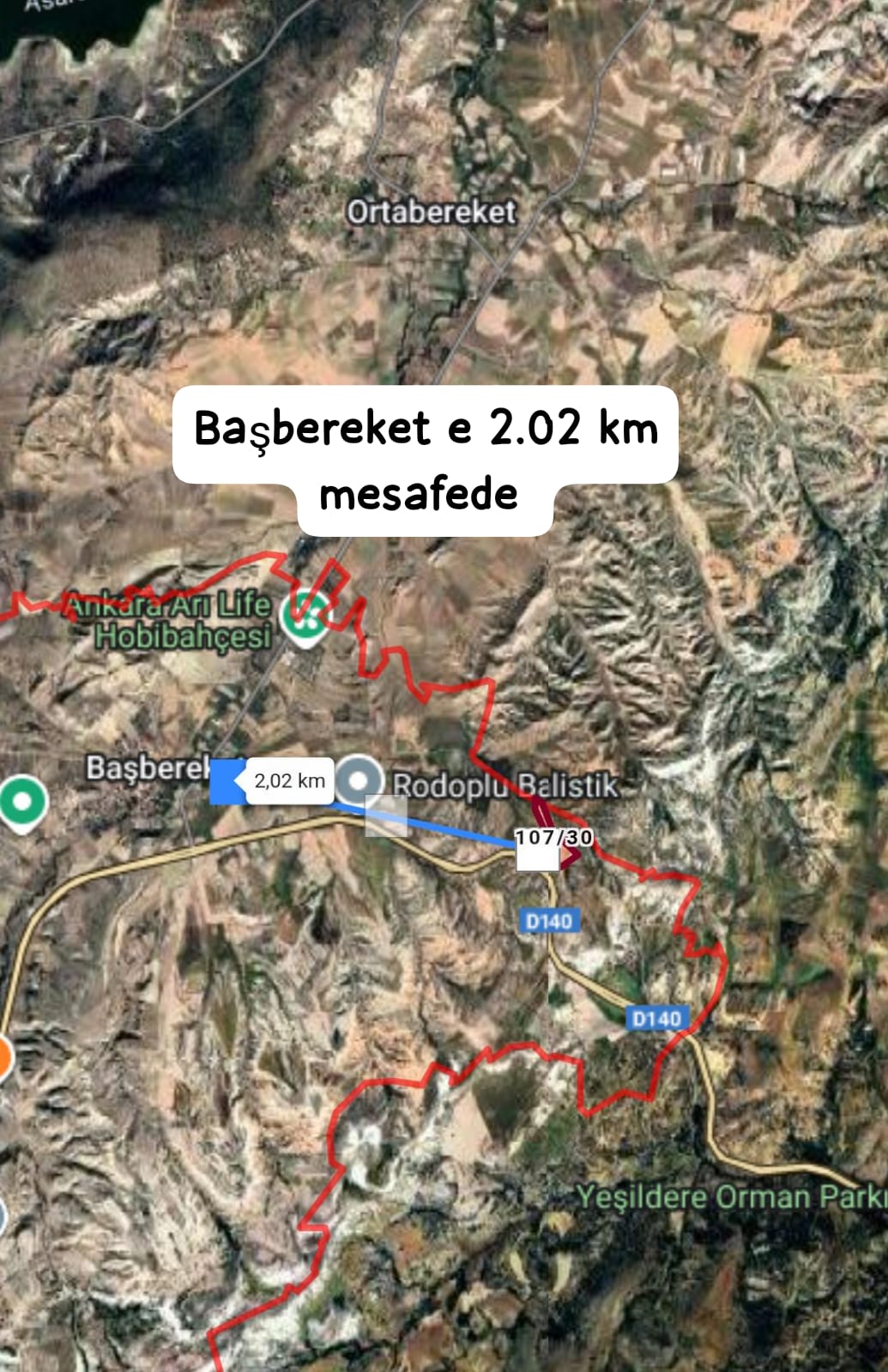 Fotoğraf
