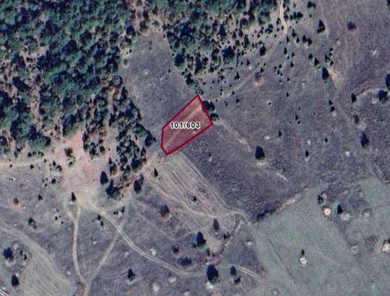 Fotoğraf