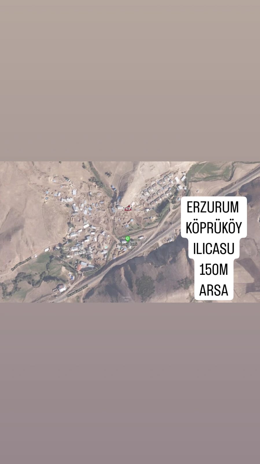 Fotoğraf