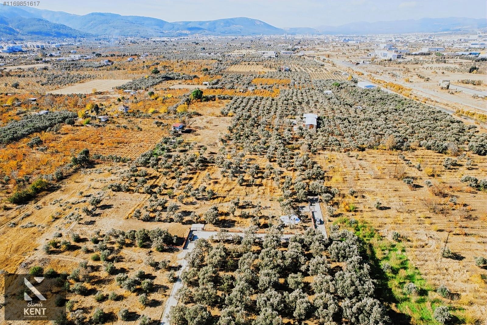 Fotoğraf