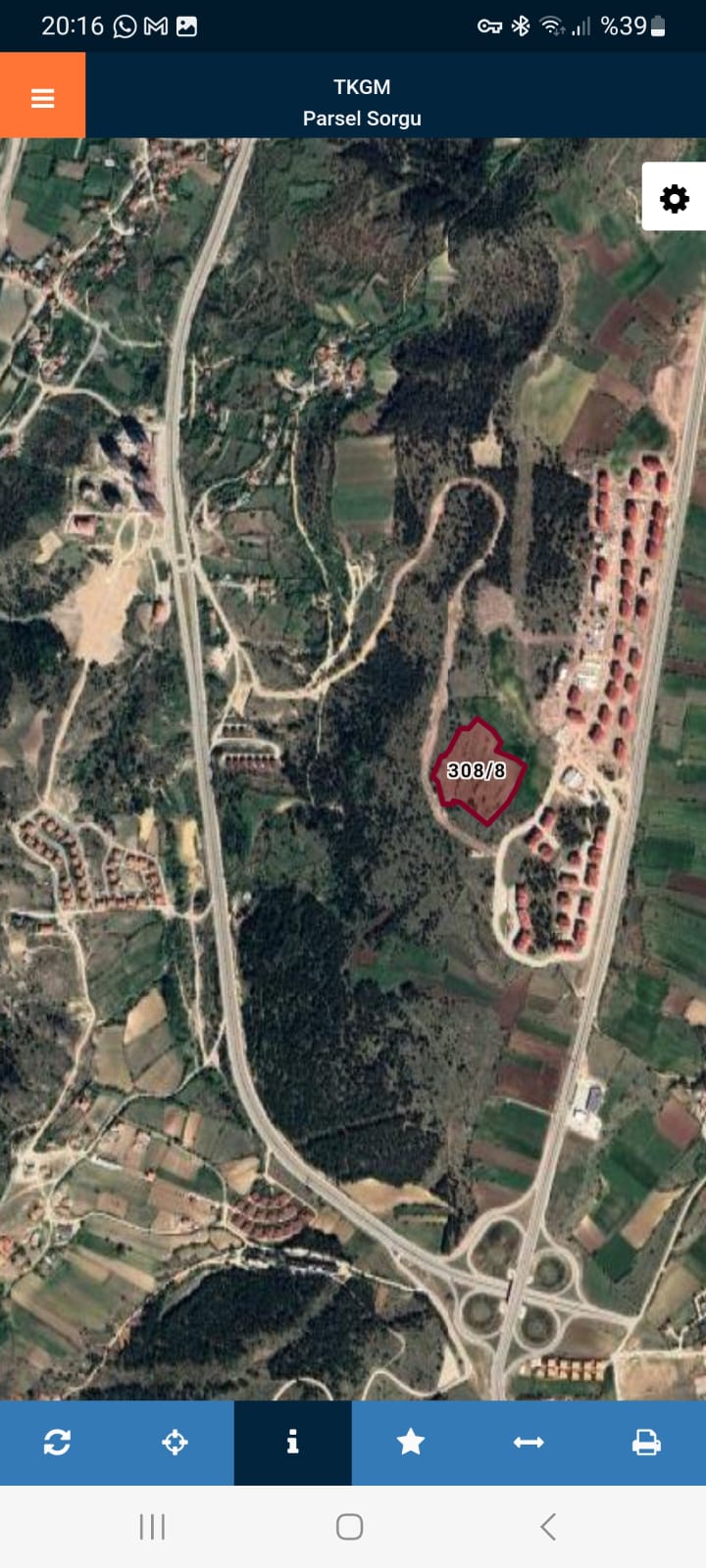 Fotoğraf