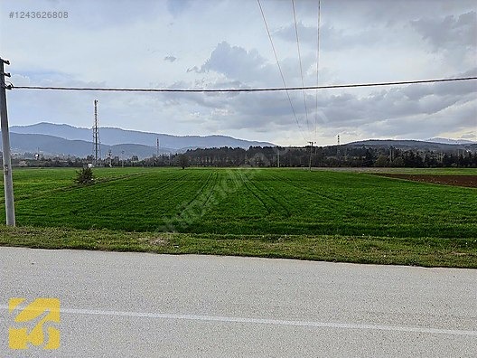 İlan Fotoğrafı