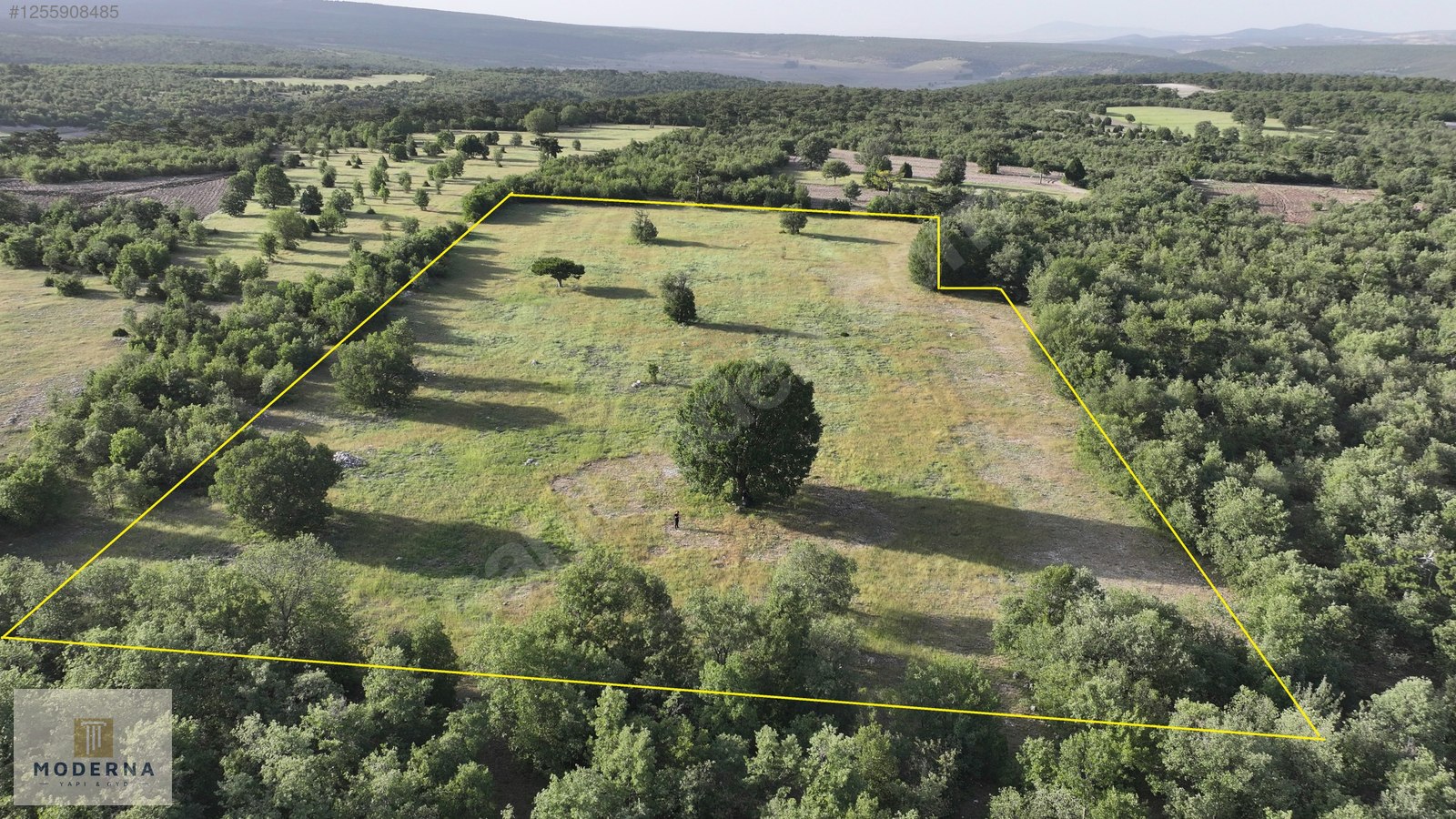 ESKİŞEHİR 20650 M2 TEK TAPU ORMANA CEPHE HALI GİBİ EMSALSİZ ARSA