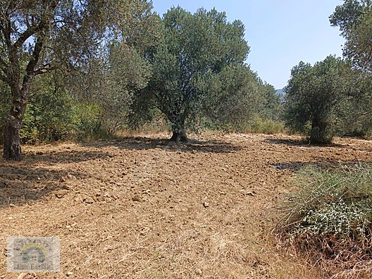 İlan Fotoğrafı