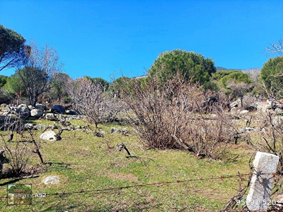 KOZAK YAYLASI HACIHAMZALAR MAH DE 736 M2 ARSA