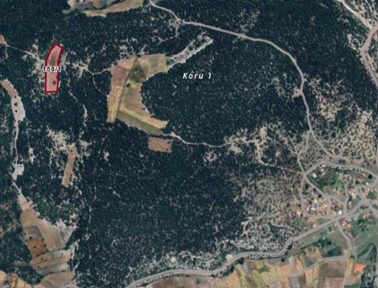 Fotoğraf
