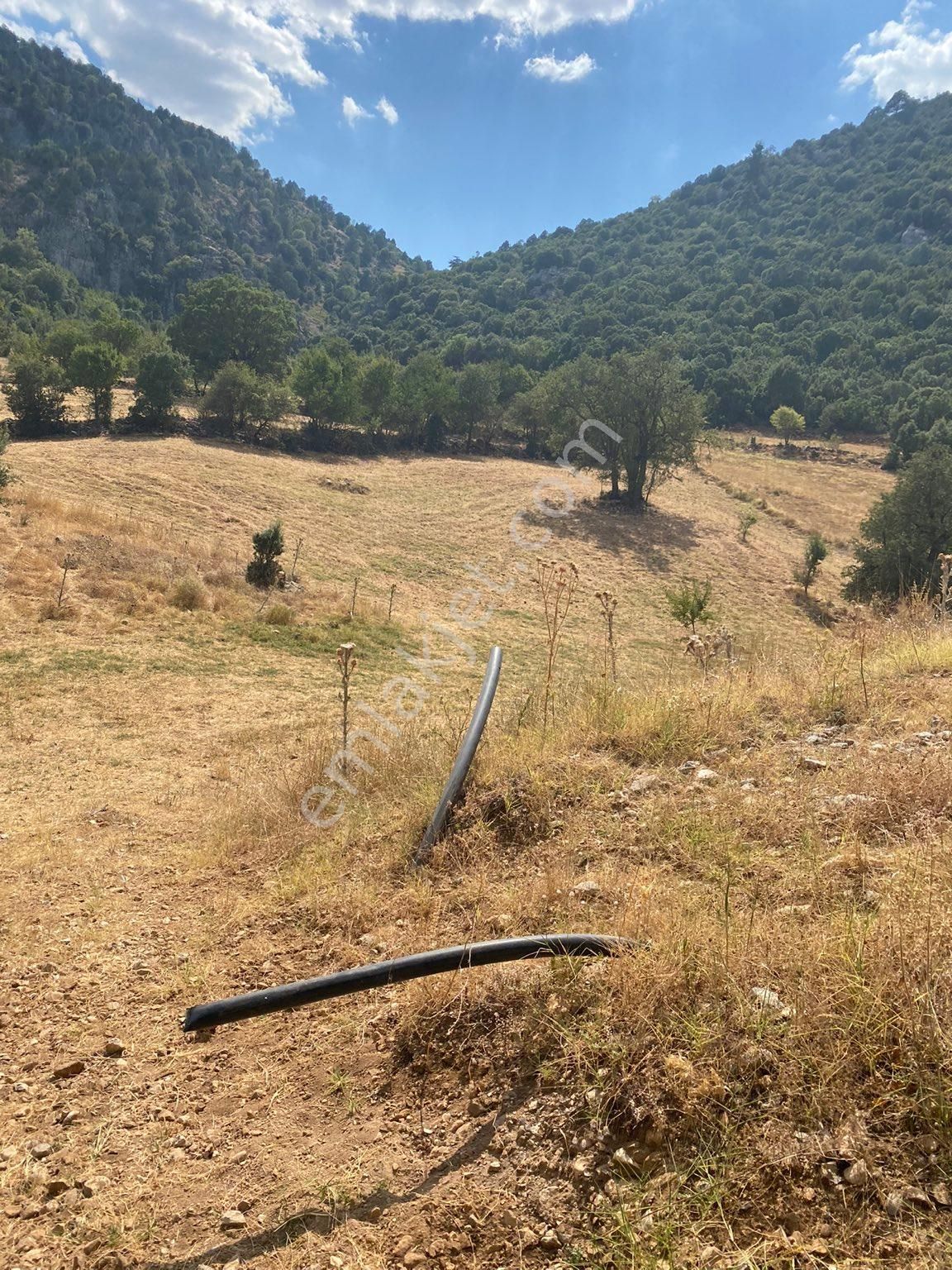 İlan Fotoğrafı