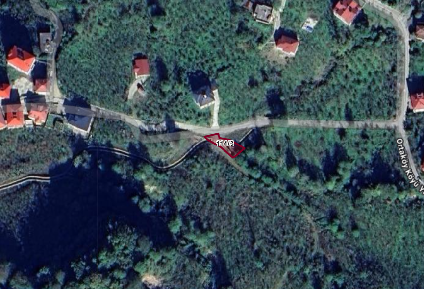 TRABZON ARAKLI ORTAKÖY  KÖYÜNDE  191  M² FINDIK BAHÇESİ  SATILIKTIR
