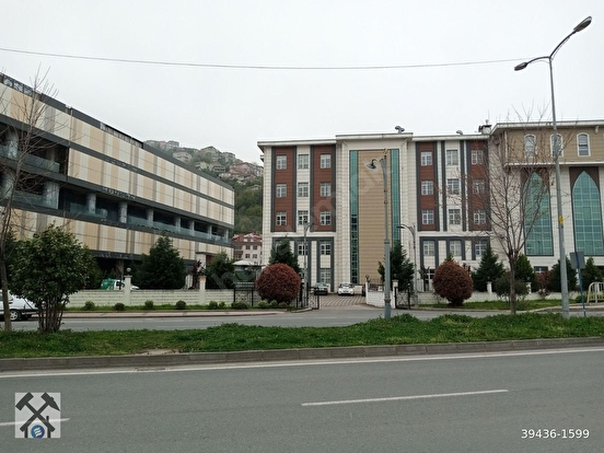Fotoğraf