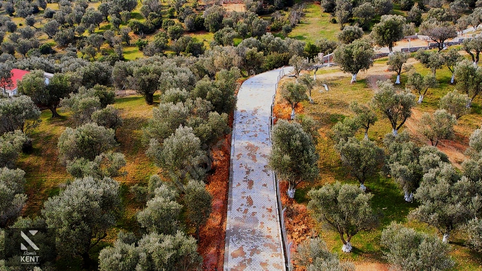 Fotoğraf