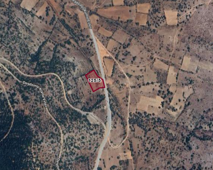 Fotoğraf