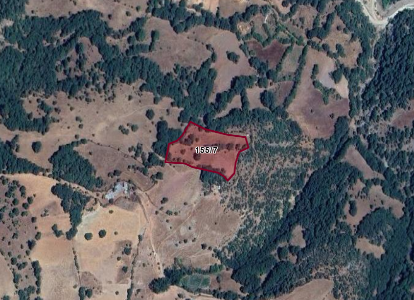 BALIKESİR DURSUNBEY AKYAYLA  KÖYÜNDE  6.069  M²  TARLA  SATILIKTIR