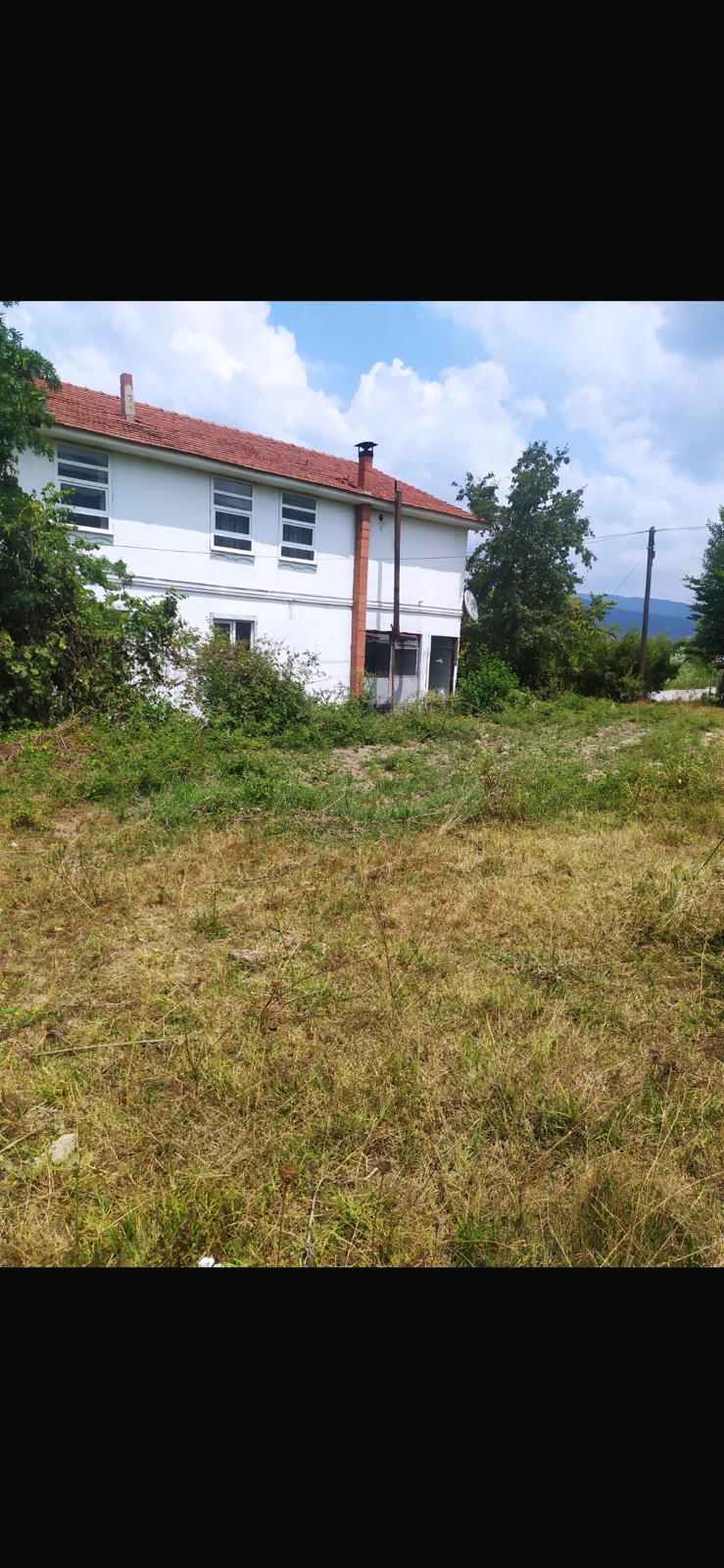 Fotoğraf