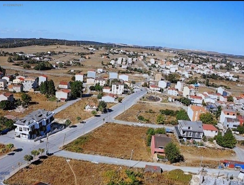 Fotoğraf