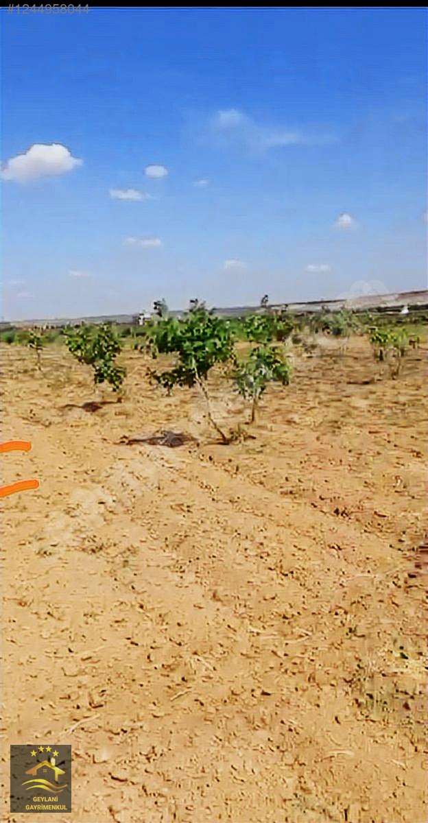 İlan Fotoğrafı