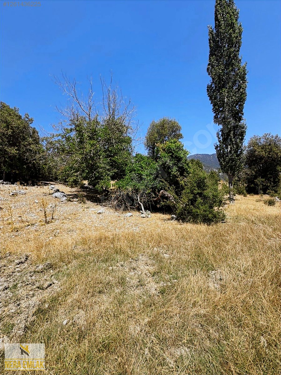 KAŞ'IN EN GÖZDE MAHALLELERİN'DEN SÜTLEĞEN'DE TEK TAPU 2.072m2