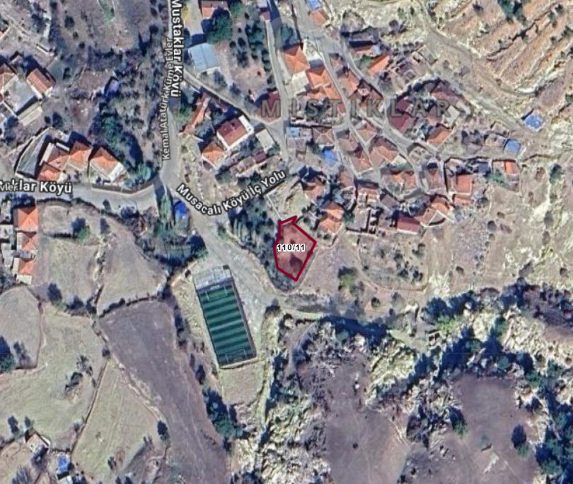 Fotoğraf