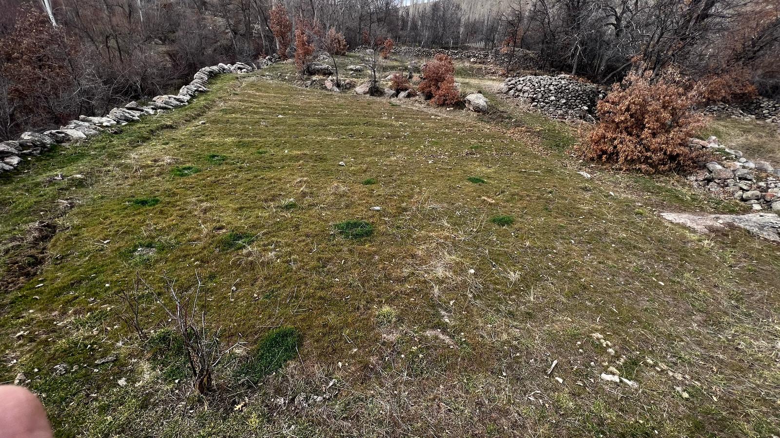 Fotoğraf