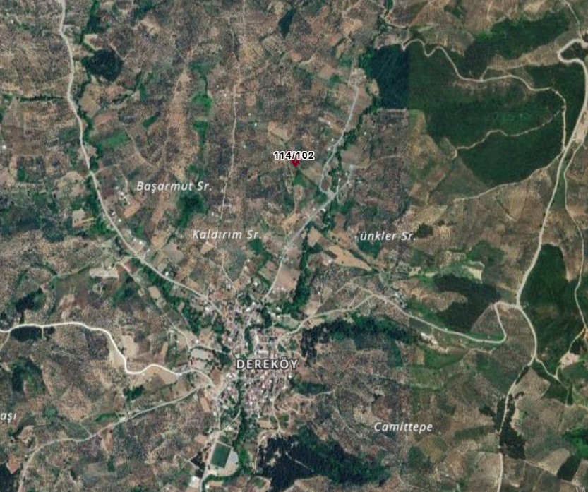 Fotoğraf