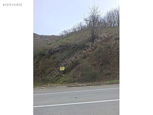 İlan Fotoğrafı