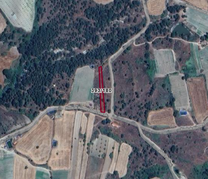 Fotoğraf
