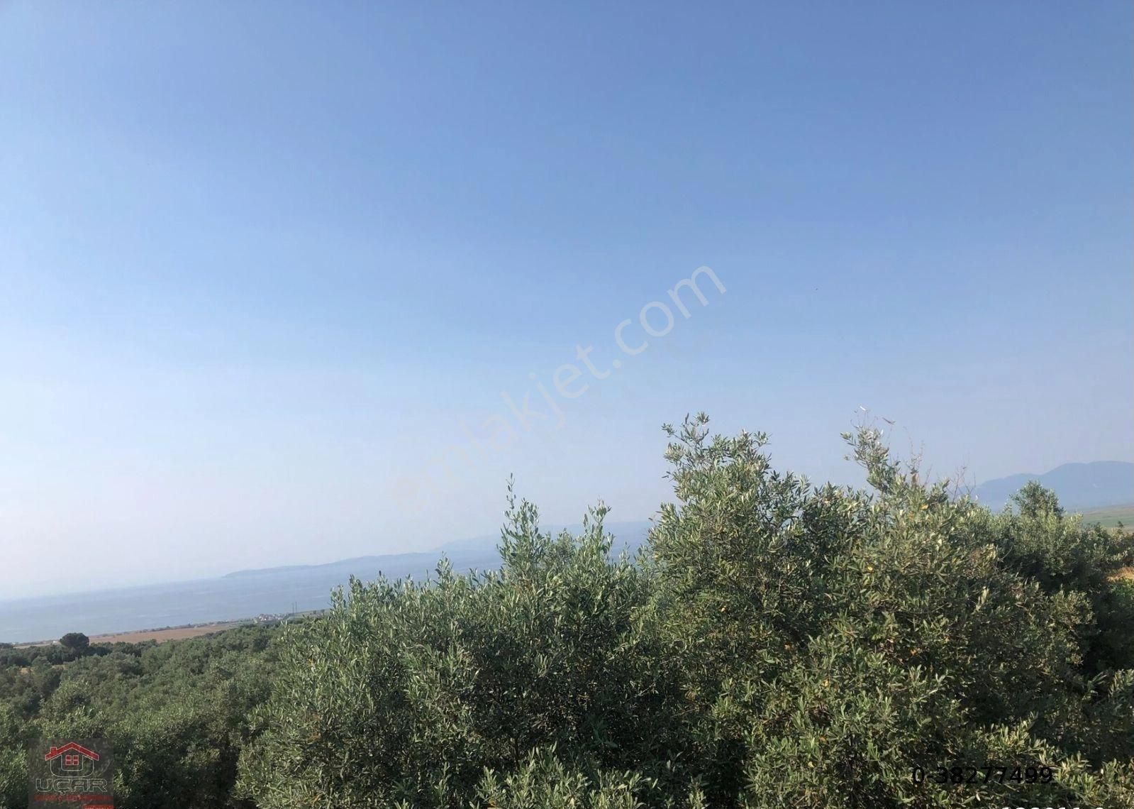 İlan Fotoğrafı