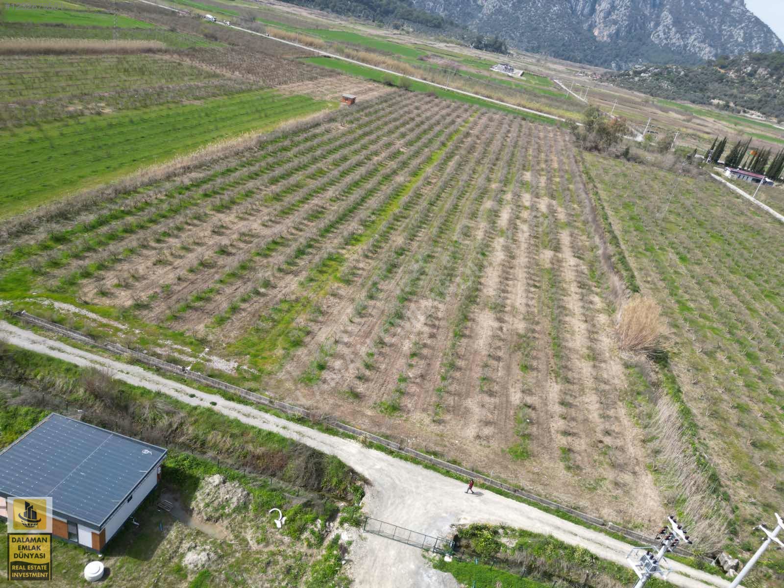 İlan Fotoğrafı