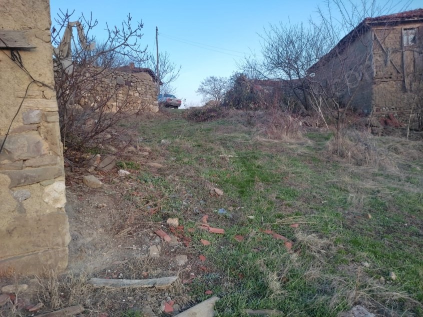 Fotoğraf