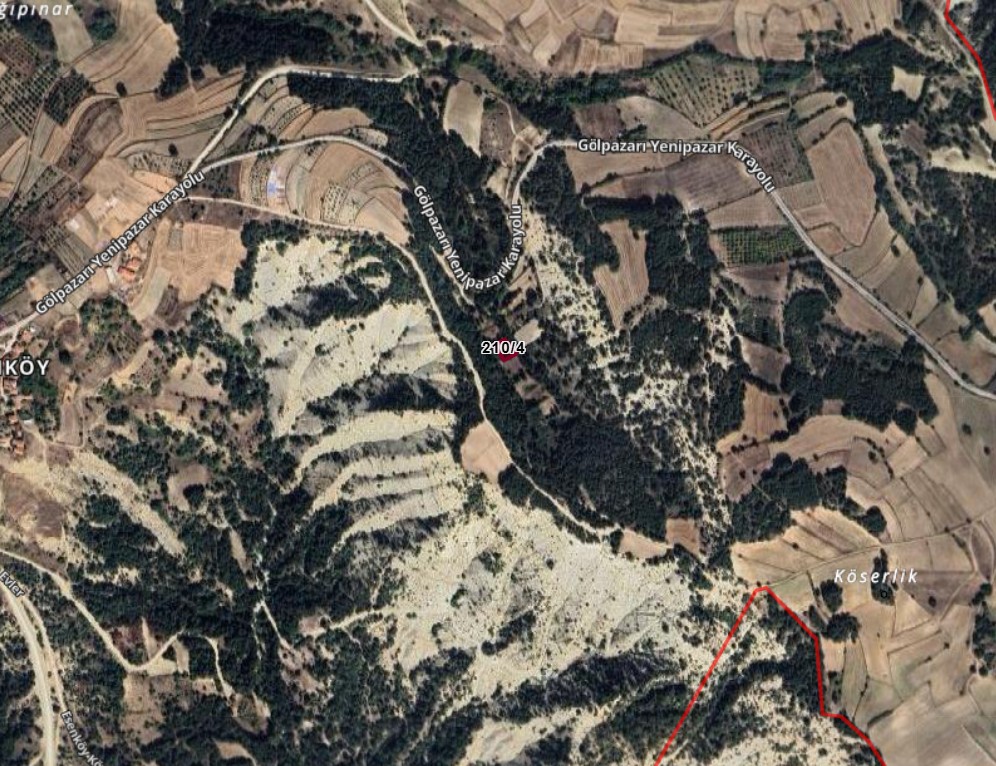 Fotoğraf