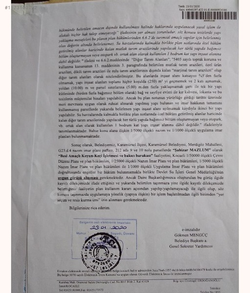 Fotoğraf