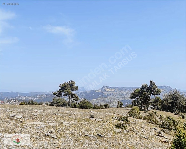 İlan Fotoğrafı