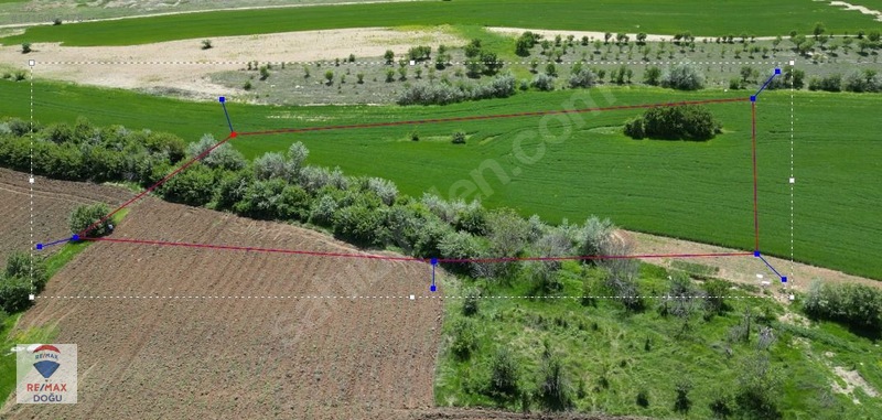 İlan Fotoğrafı