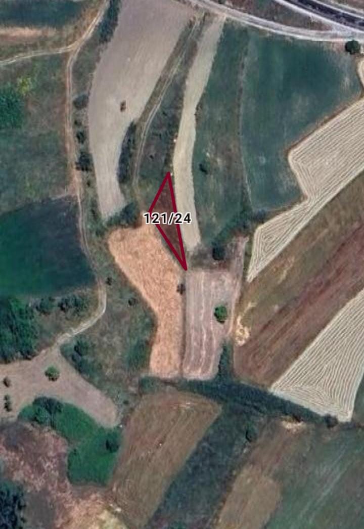 Fotoğraf
