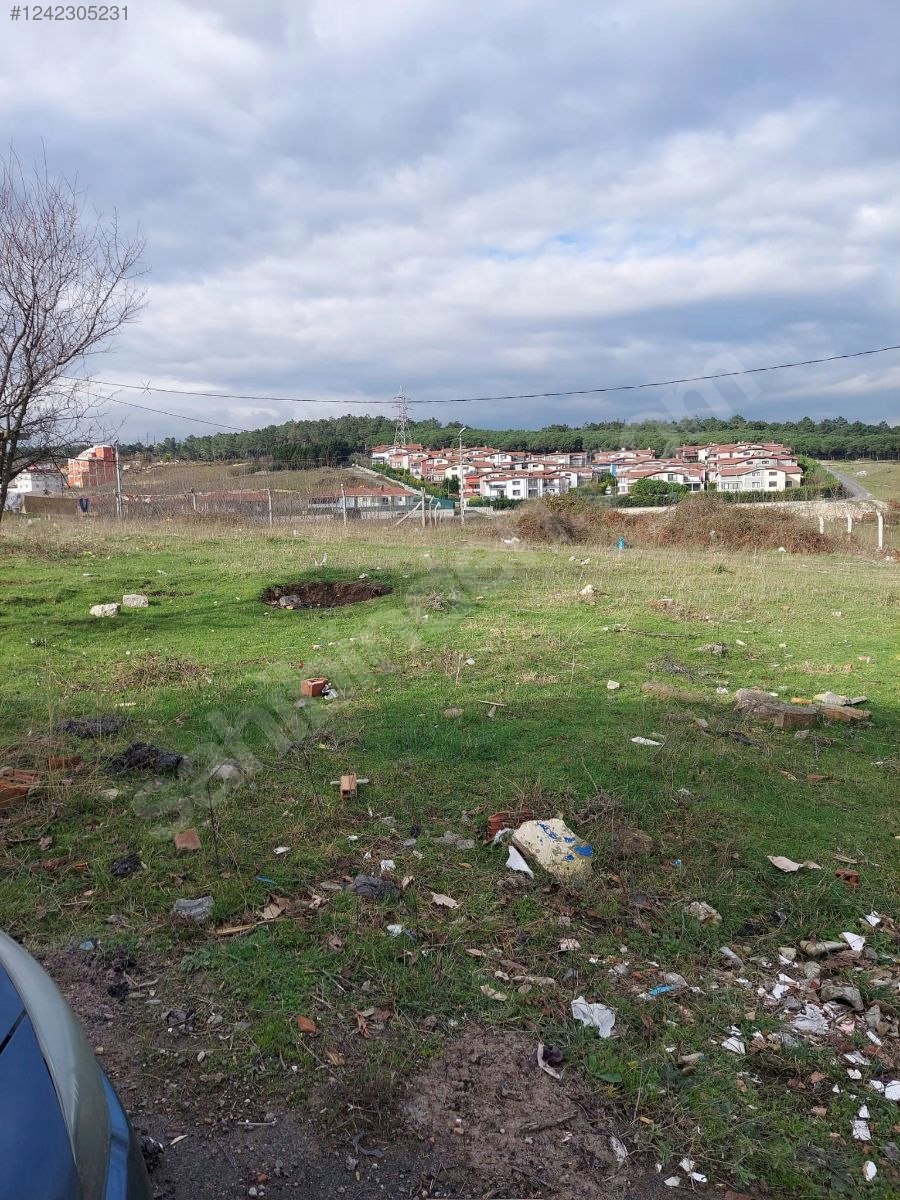 Fotoğraf