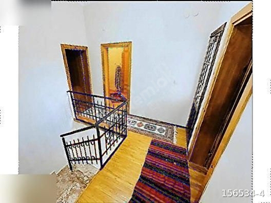 Fotoğraf