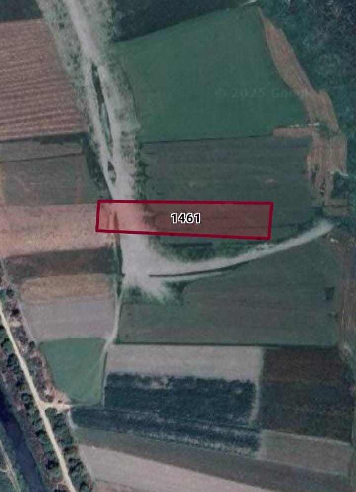 Fotoğraf