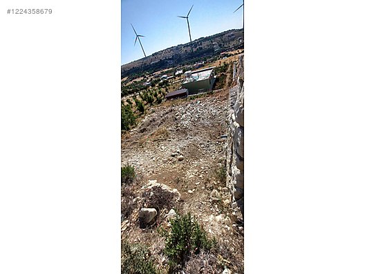 Fotoğraf