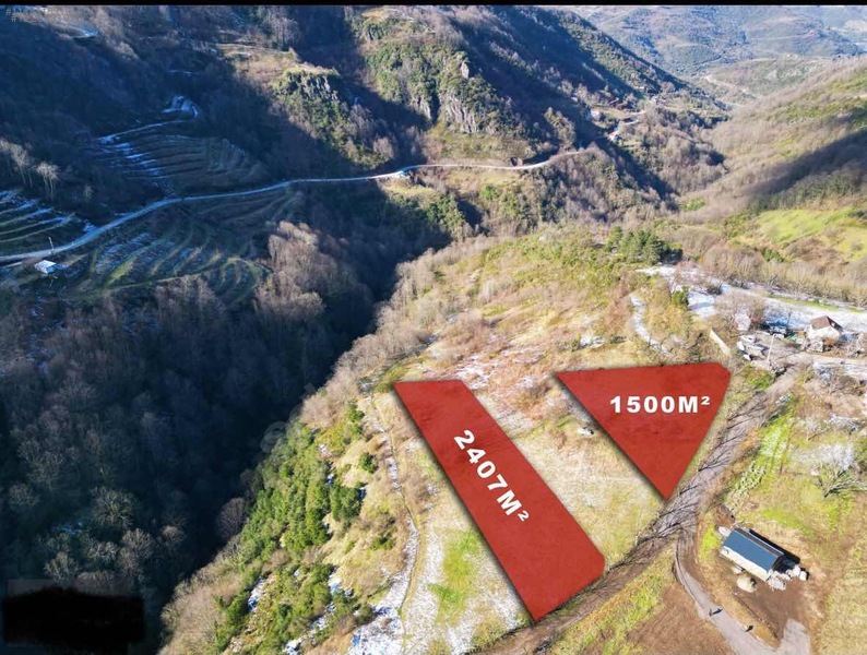 Fotoğraf