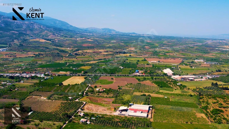 Fotoğraf