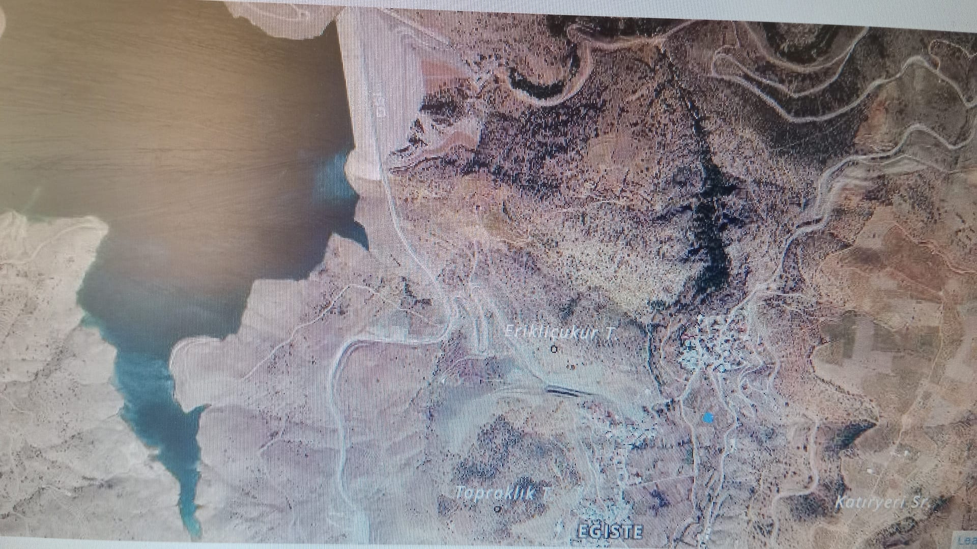 Fotoğraf