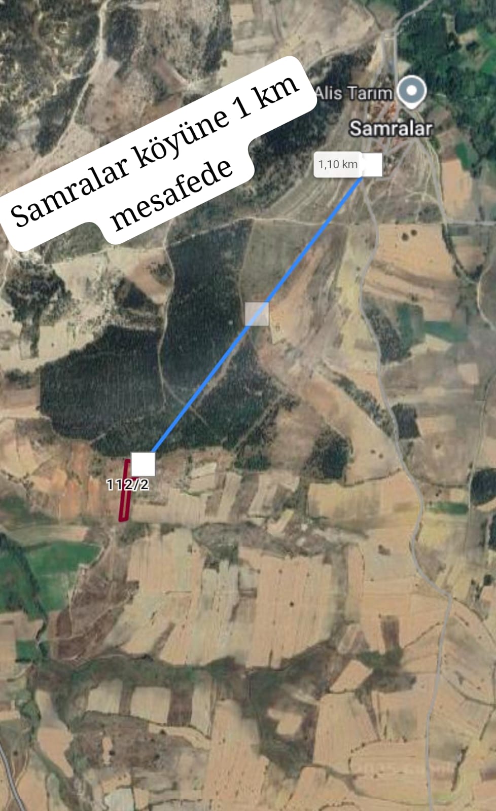 Fotoğraf