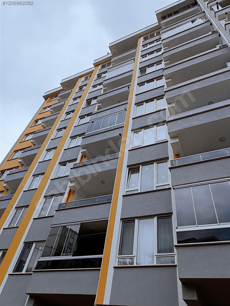 Fotoğraf