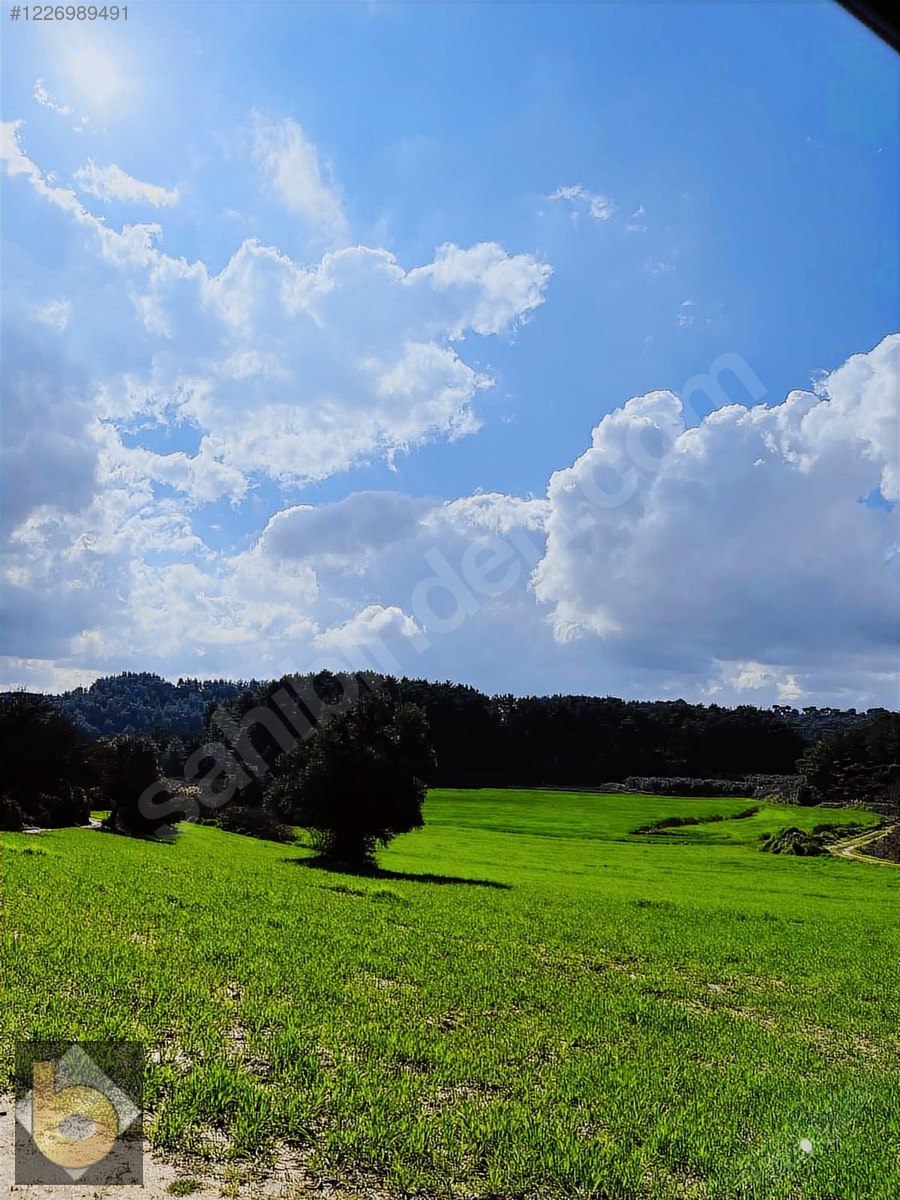 İlan Fotoğrafı