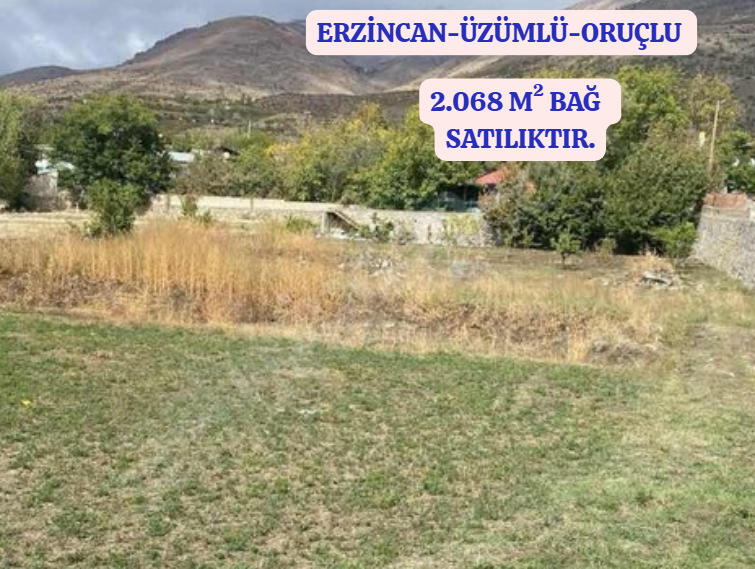 Fotoğraf